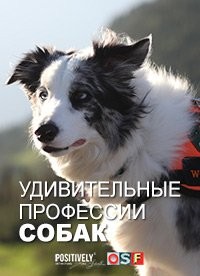 Удивительные профессии собак