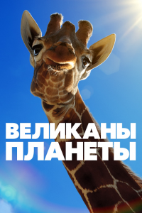 Великаны планеты